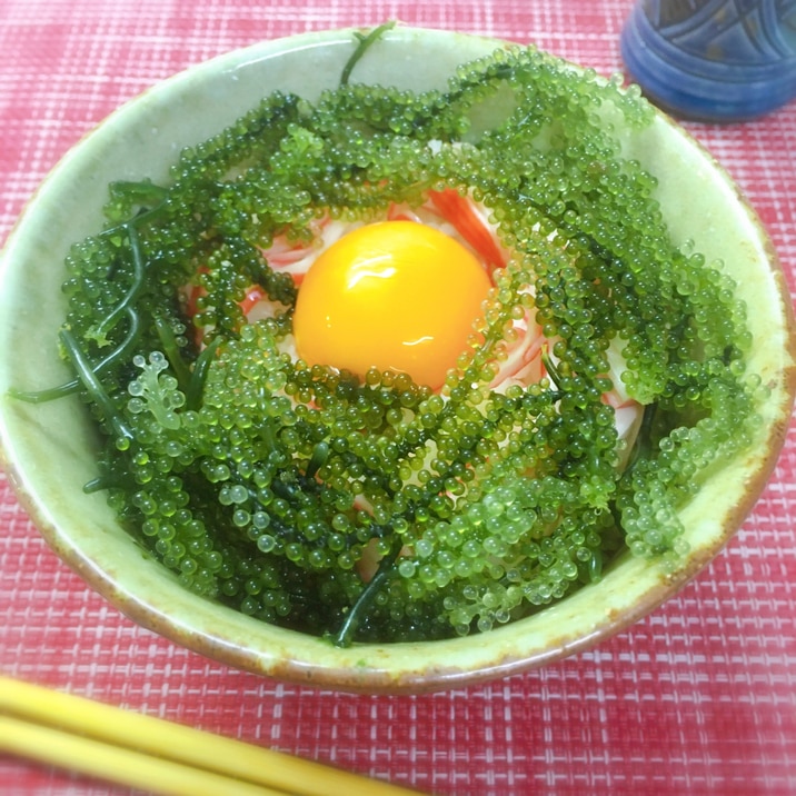 沖縄美ら海の恵み♡海ぶどう丼❣️